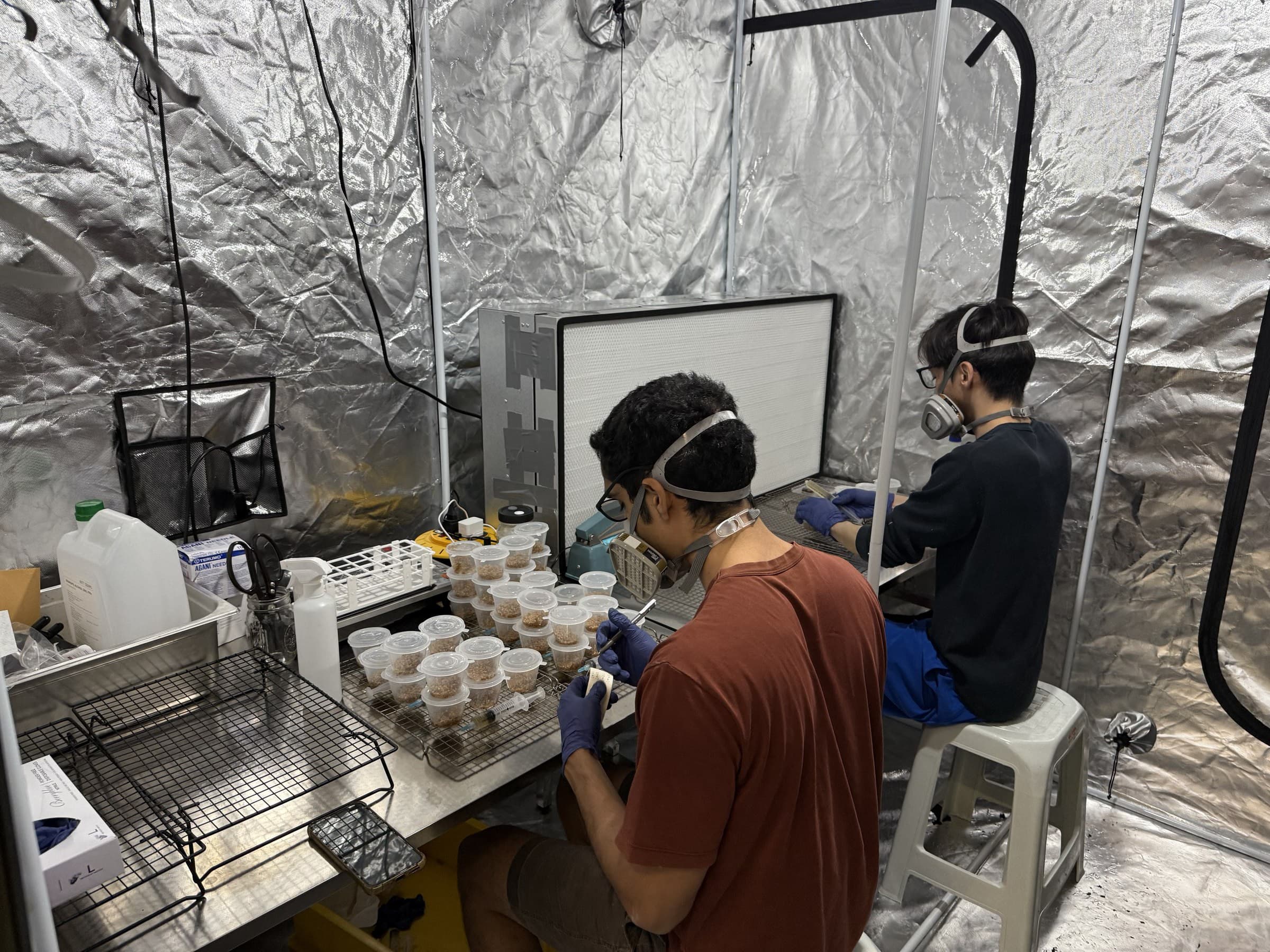 Two Shroomy team members in respirators inoculating grain jars inside the sterile lab tent