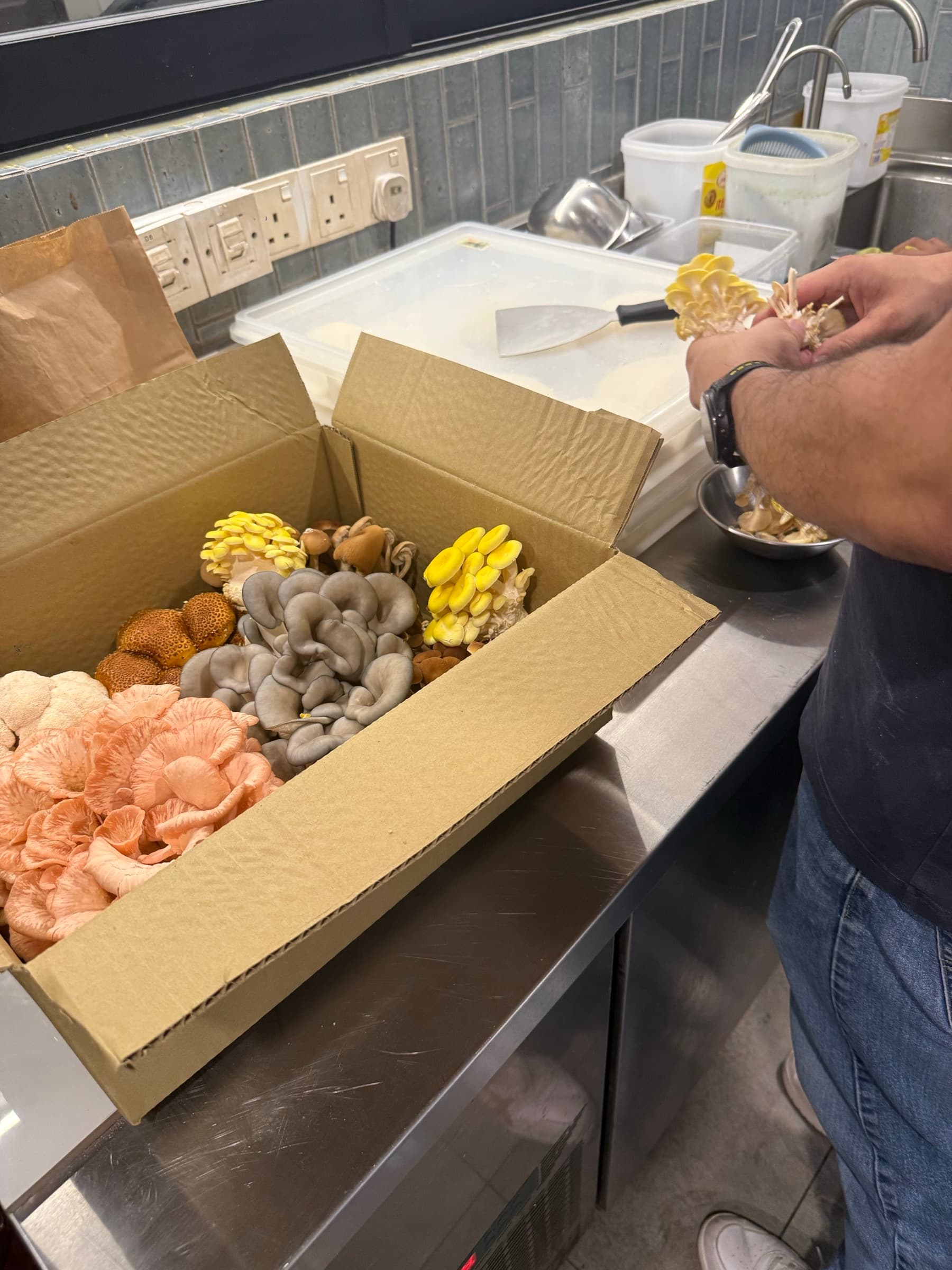 A chef's hand reaching into a fresh Shroomy delivery box on a kitchen counter