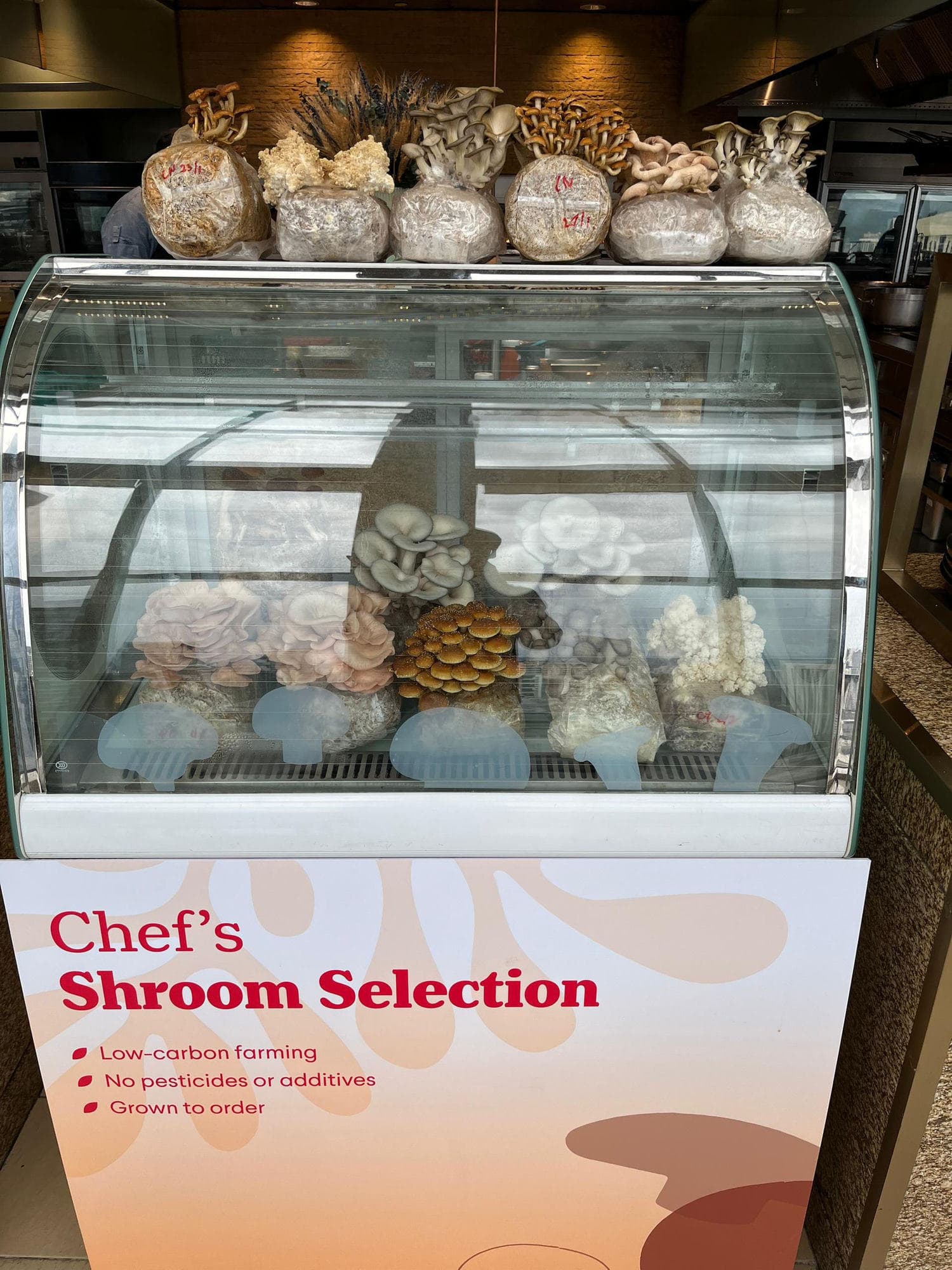 The Chef's Shroom Selection display fridge of live Shroomy grow blocks at thirty8, Grand Hyatt KL