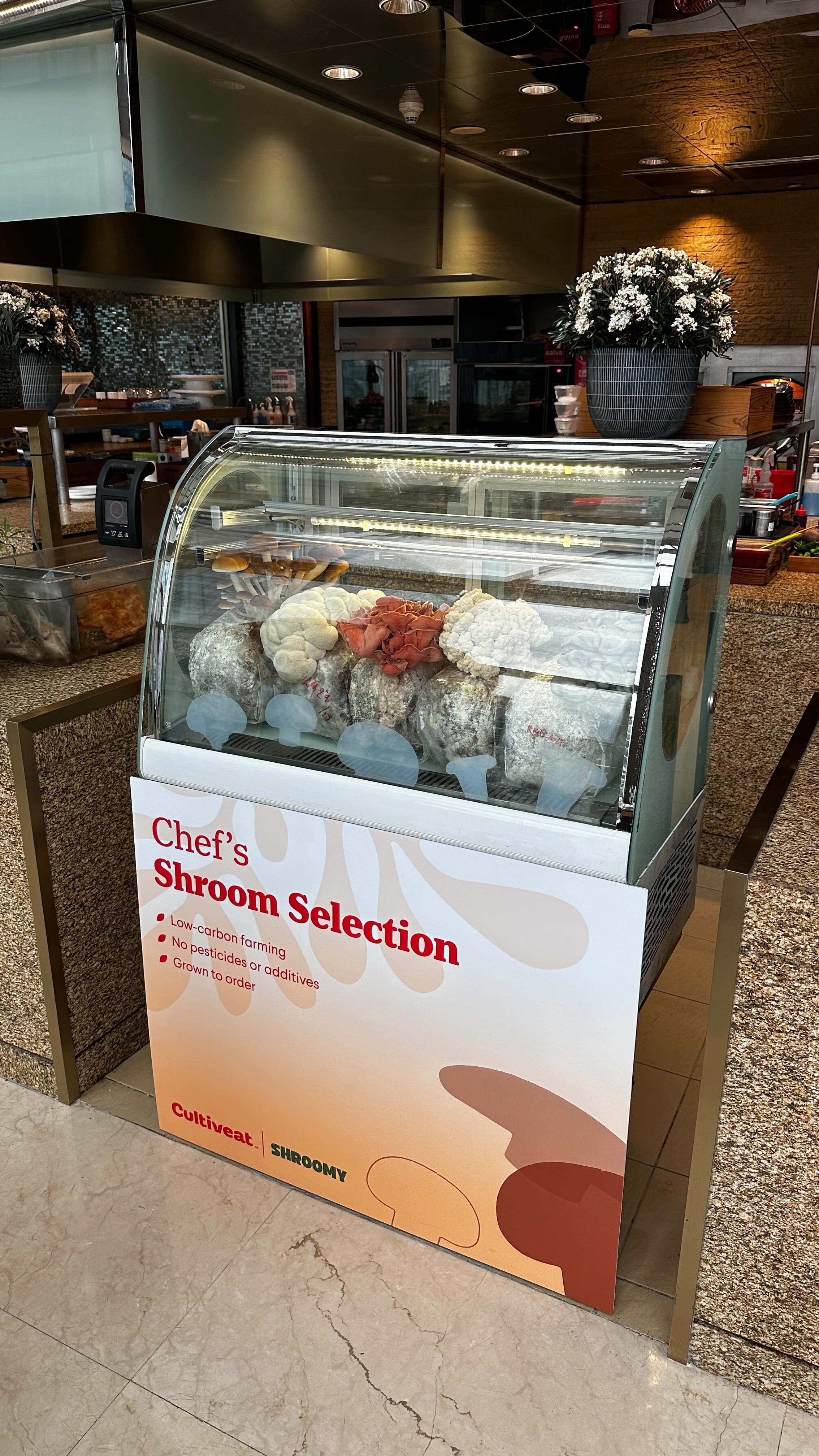 Cultiveat x Shroomy chef's shroom selection display case